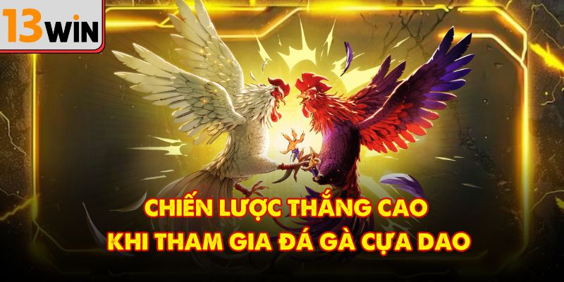 Chiến lược thắng cao khi tham gia đá gà cựa dao