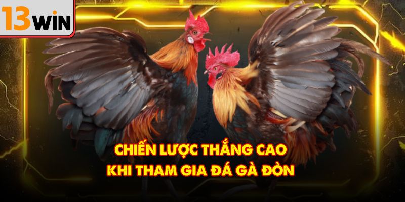 Chiến lược thắng cao khi tham gia đá gà đòn