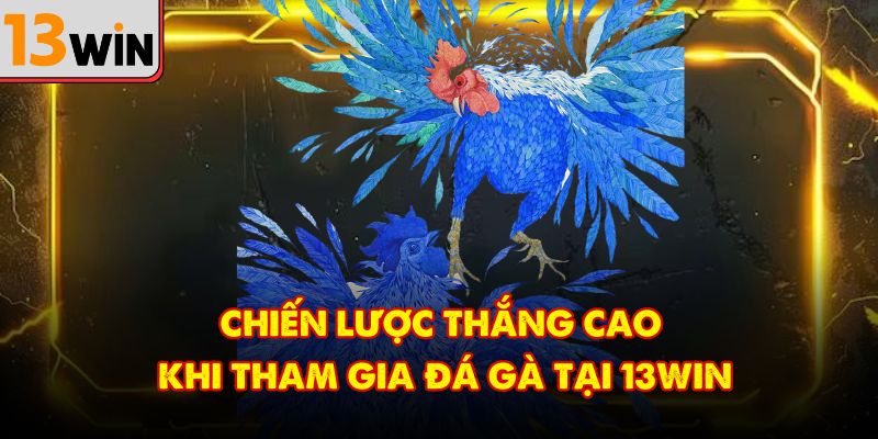 Chiến lược thắng cao khi tham gia đá gà tại 13win