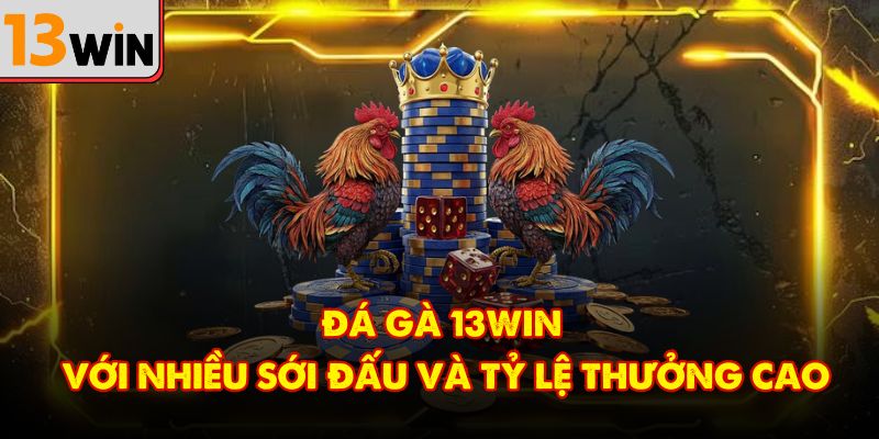 Đá gà 13Win với nhiều sới đấu và tỷ lệ thưởng cao