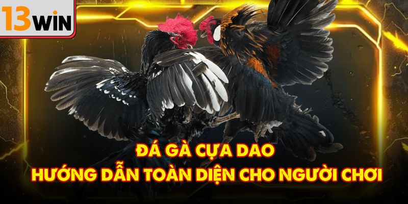Đá Gà Cựa Dao – Hướng Dẫn Toàn Diện Cho Người Chơi