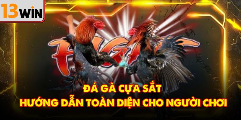 Đá Gà Cựa Sắt – Hướng Dẫn Toàn Diện Cho Người Chơi