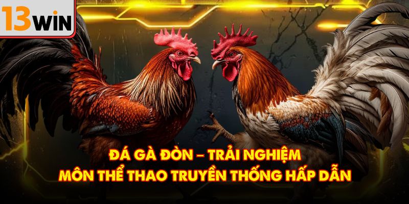 Đá Gà Đòn – Trải Nghiệm Môn Thể Thao Truyền Thống Hấp Dẫn