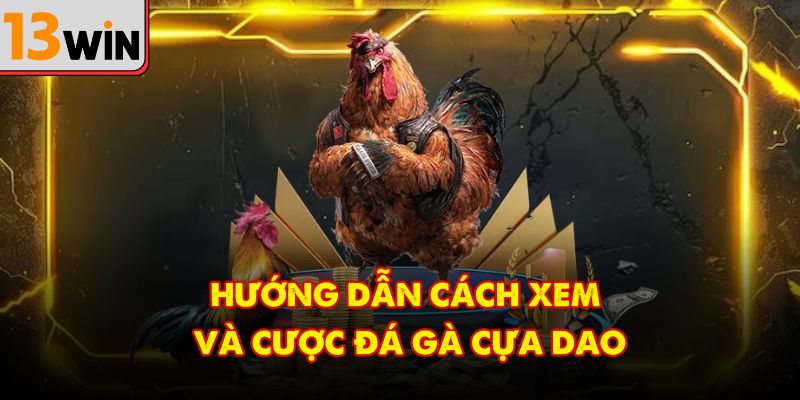 Hướng dẫn cách quan sát và cược đá gà cựa dao hiệu quả