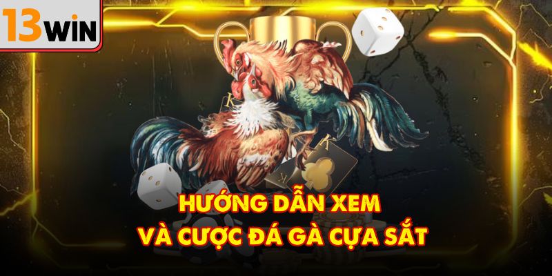 Hướng dẫn xem và cược đá gà cựa sắt