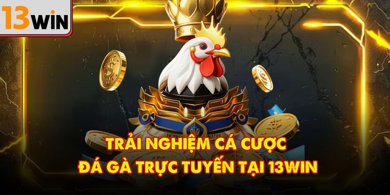 Trải nghiệm cá cược đá gà trực tuyến tại 13Win