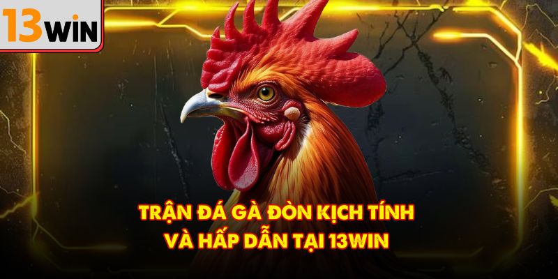 Trận đá gà đòn kịch tính và hấp dẫn tại 13Win